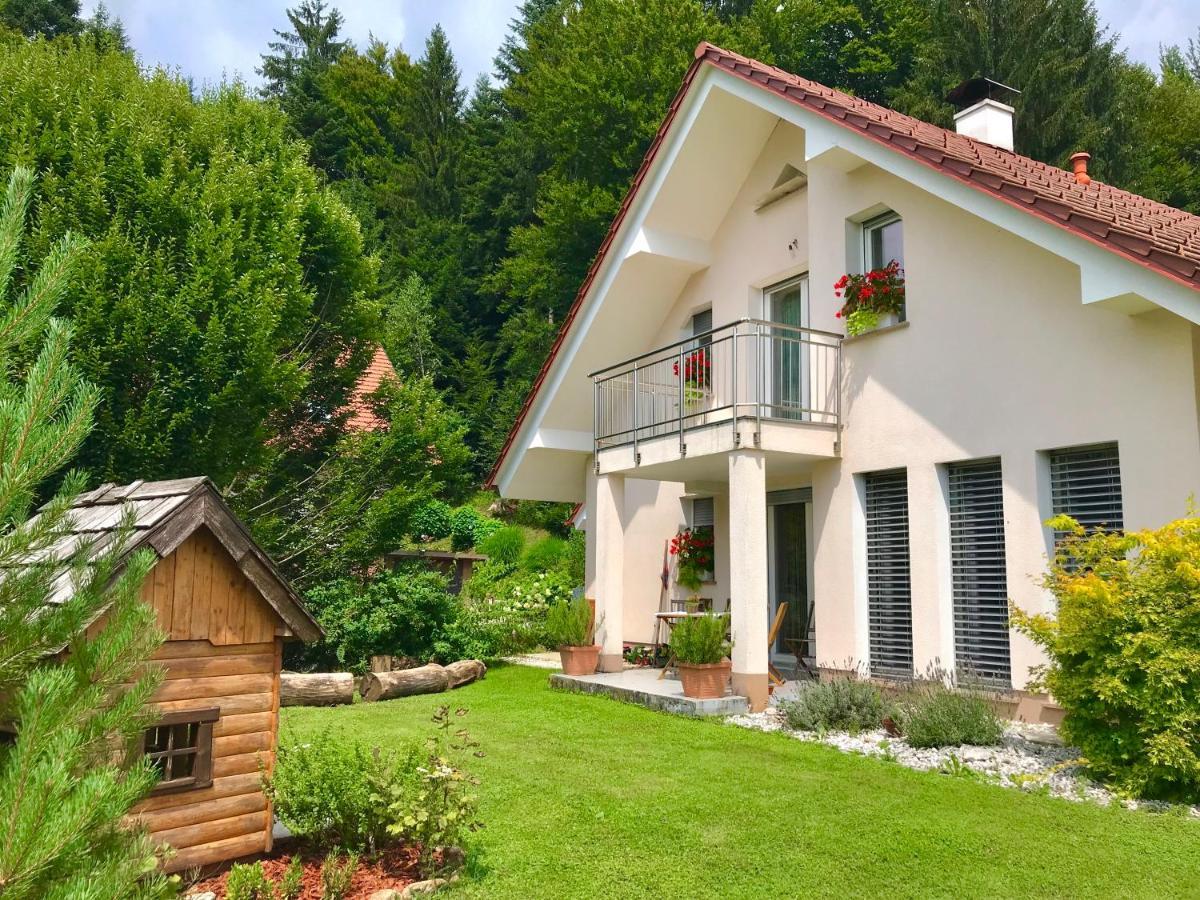 Homeslovenia - Your Home In The Heart Of Slovenia Selca Exterior photo